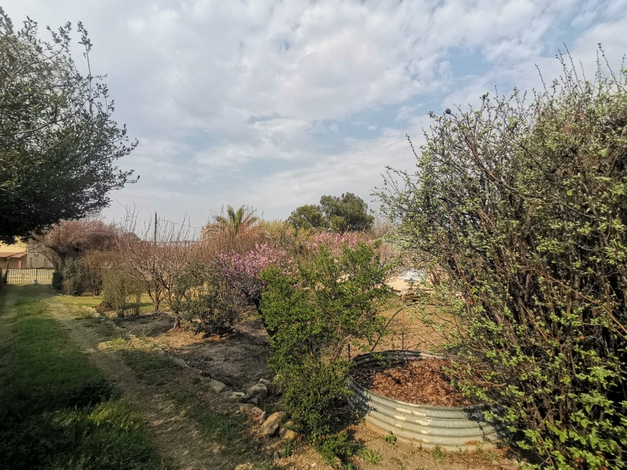 3 Bedroom Property for Sale in Senekal Free State
